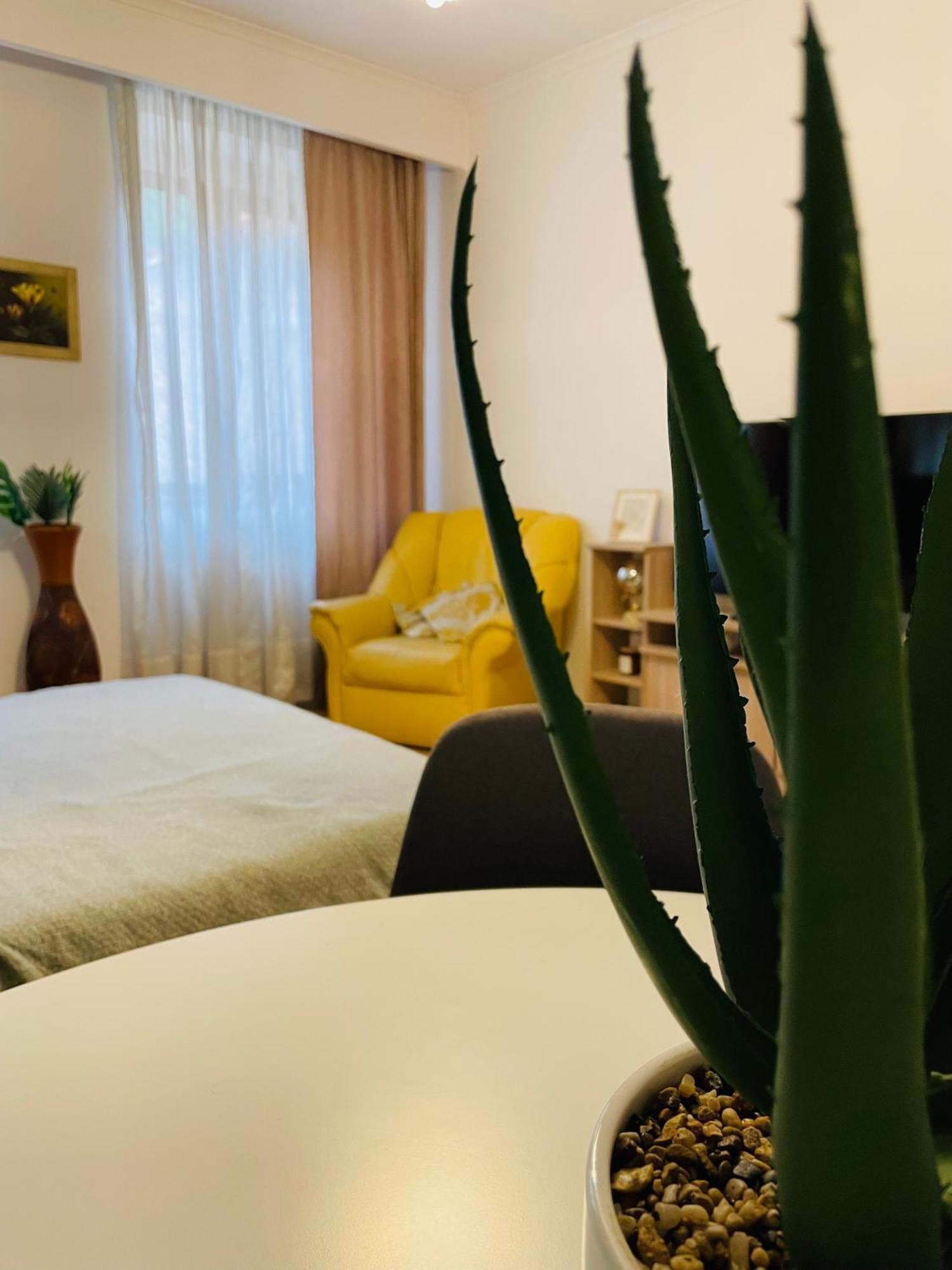 Postavarului Residence Brassó Kültér fotó